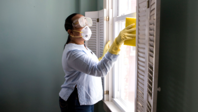 How to Safely Remove Mold From Your Home
