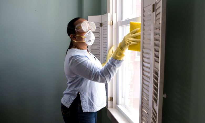 How to Safely Remove Mold From Your Home