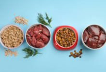 Raw Beef Liver for Cats: Nutrition, Benefits, Risks, and Best Practices 