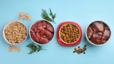 Raw Beef Liver for Cats: Nutrition, Benefits, Risks, and Best Practices