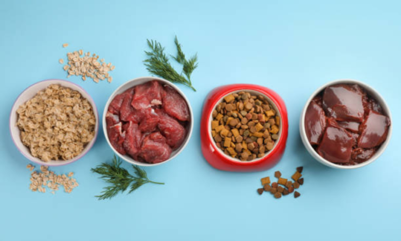 Raw Beef Liver for Cats: Nutrition, Benefits, Risks, and Best Practices 